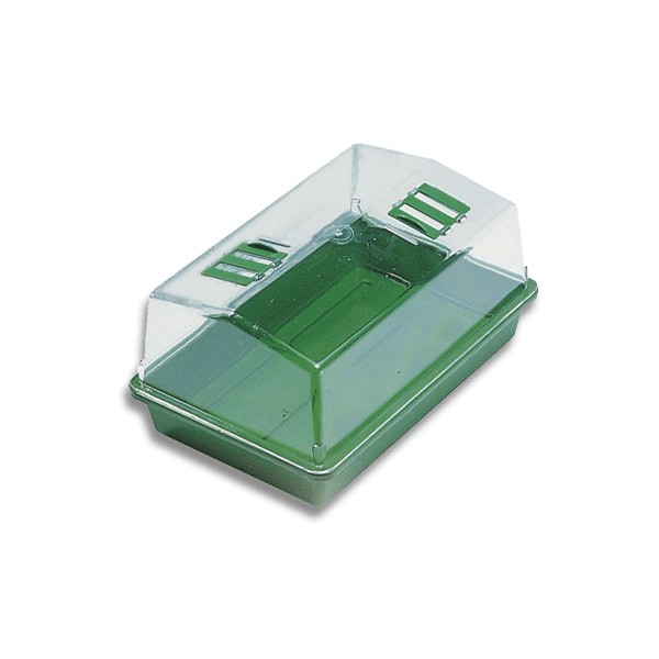 Serre de bouturage plastique rigide 38x25cm
