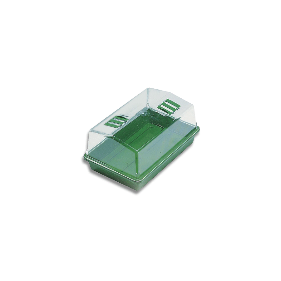 Serre de bouturage plastique rigide 38x25cm