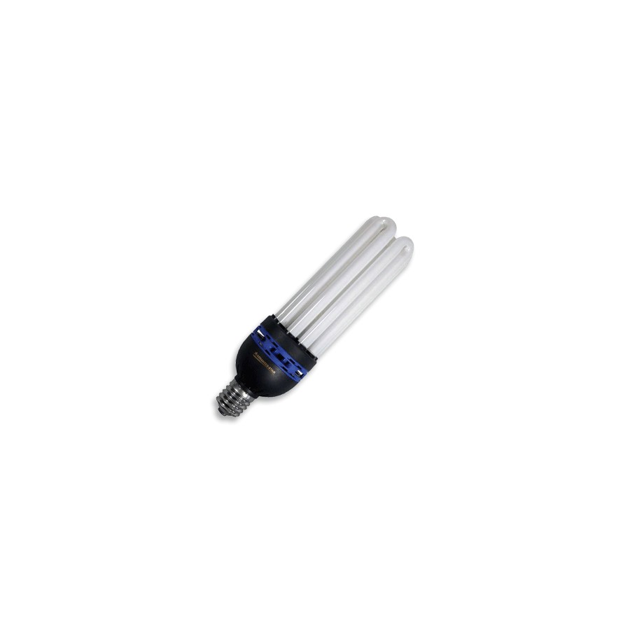 Ampoule CFL 125W ECO 6400K croissance