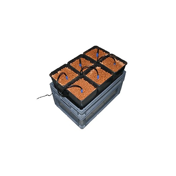 SIX-PACK PRO II **NEW**