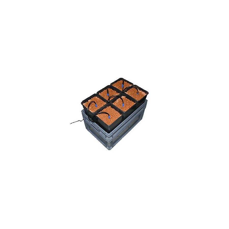 SIX-PACK PRO II **NEW**
