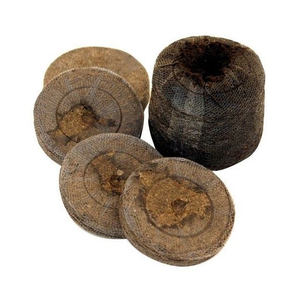 Pastilles de tourbe JIFFY (x10)