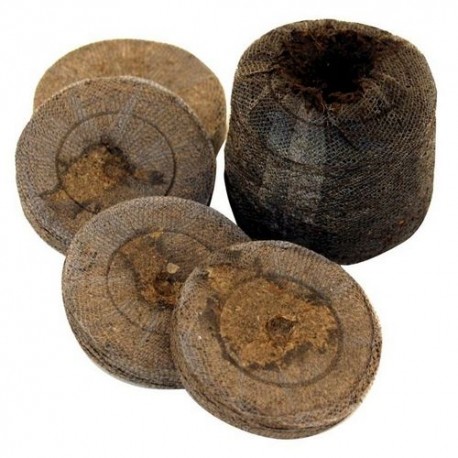 Pastilles de tourbe JIFFY (x10)
