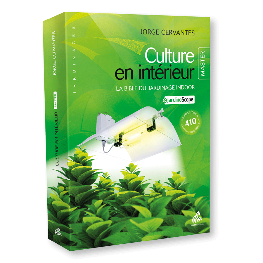 "Culture en intérieur" Master edition - Jorge Cervantes
