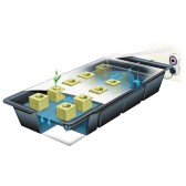 SYSTEME NFT Gro Tank 75 - Nutriculture