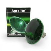 Ampoule verte SYLVANIA DARKNIGHT 100W