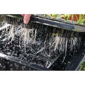 X-Stream 20 - Propagator 20 plants