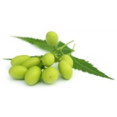 Huile de Neem naturelle 30ml - VG Garden