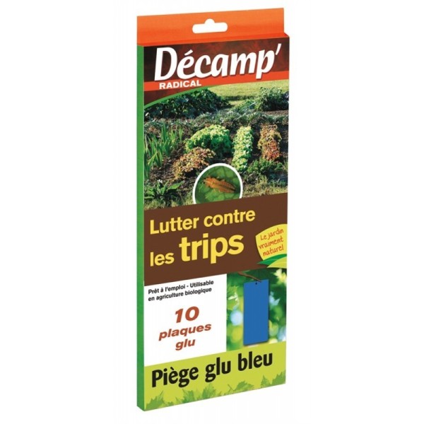 Pièges bleus thrips
