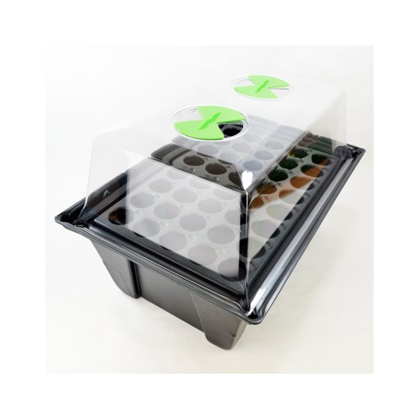 X-stream 40 plantes