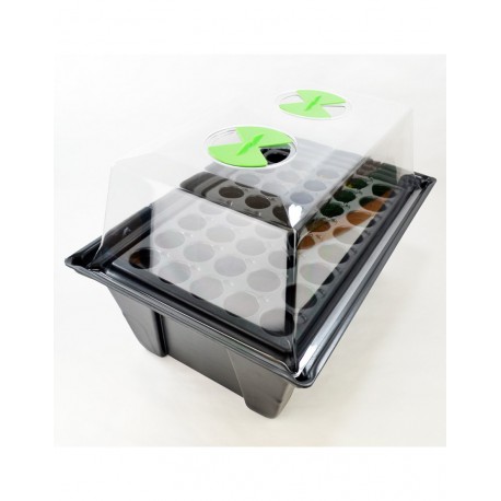 X-stream 40 plantes