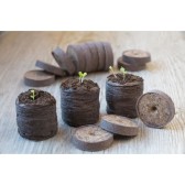 Pastilles de tourbe JIFFY (x10)