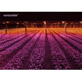 Nurturelite WPLED-200EU Full Spectrum Flo+ (new)