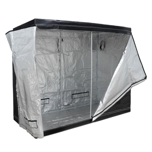 Pure Tent Diamond