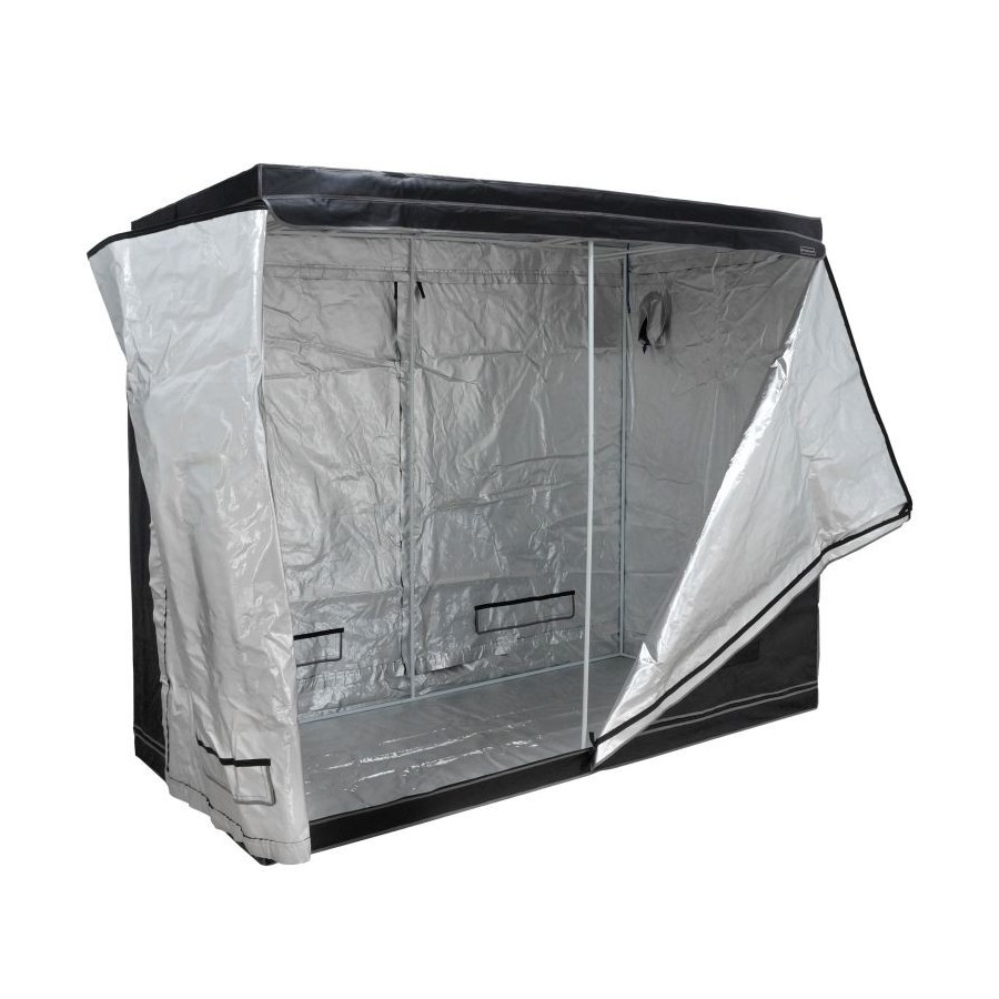 Pure Tent Diamond