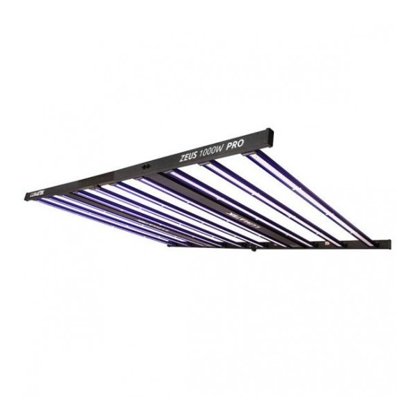 led zeus lumatek
