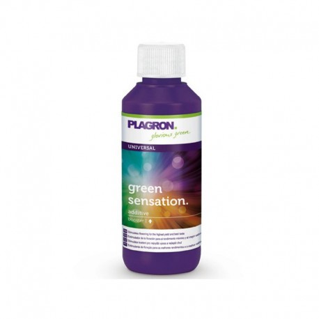Plagron Green Sensation 50ml
