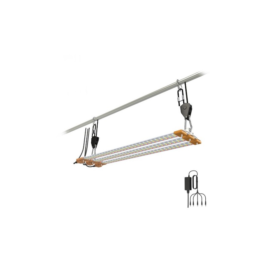 COSMORROW LED 60W - FULL SPECTRUM - Secret Jardin