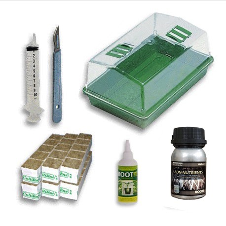 Kit complet bouturage