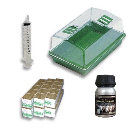 Kit complet germination