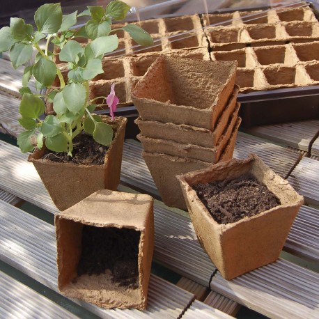 Pots biodégradables 6cm (24 pots)
