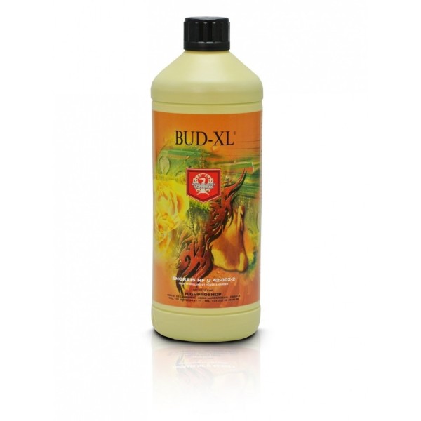 H&G - Bud XL 250ml