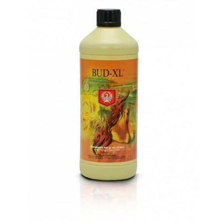 H&G - Bud XL 250ml