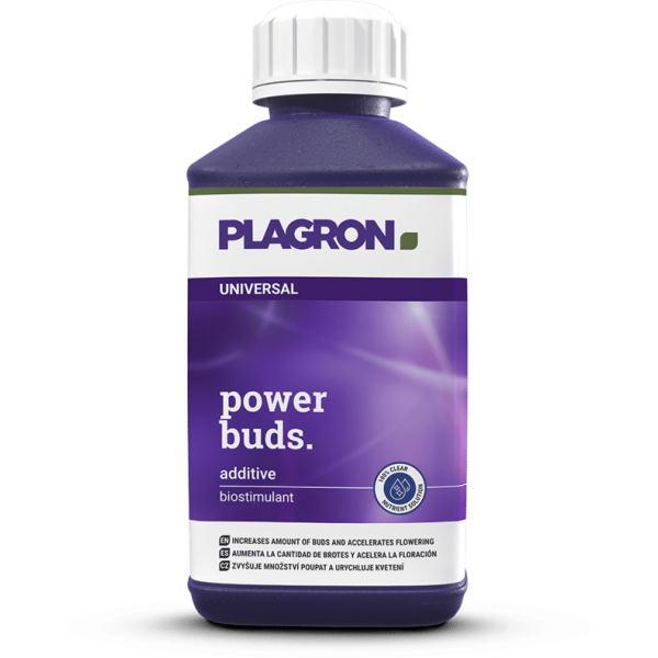 Power Buds - PLAGRON - 100ml