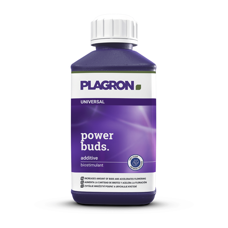 Power Buds - PLAGRON - 100ml