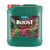 Boost Accelerator - Floraison - CANNA - 5L
