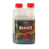 Boost Accelerator - Floraison - CANNA - 5L