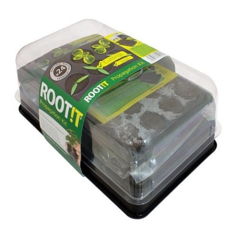 Kit de bouturage 24 plantes - ROOT!T