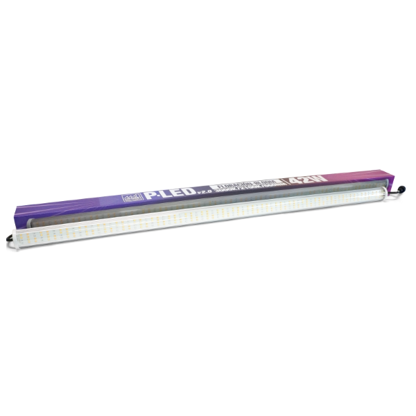 P-LED V2.0 42 W 2100K Floraison (CÂBLE D'ALIMENTATION NON INCLUS)