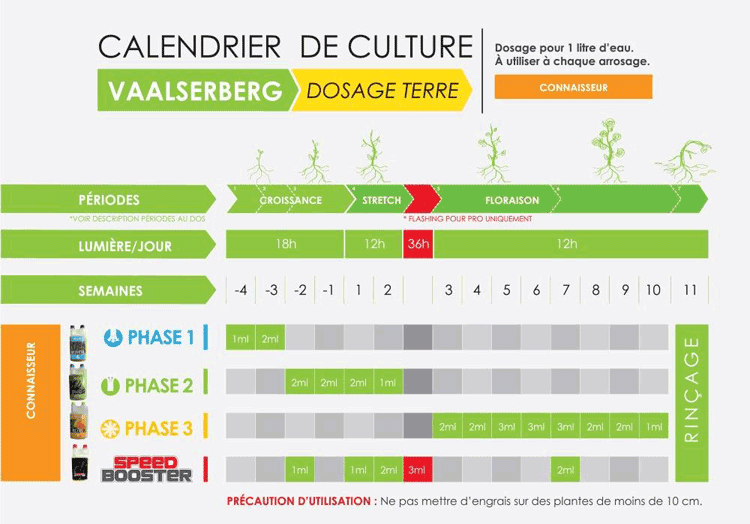Tableau Vaalserberg Phase