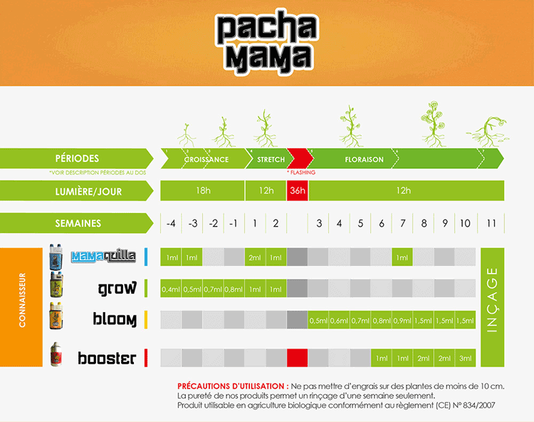 Tableau Pachamama