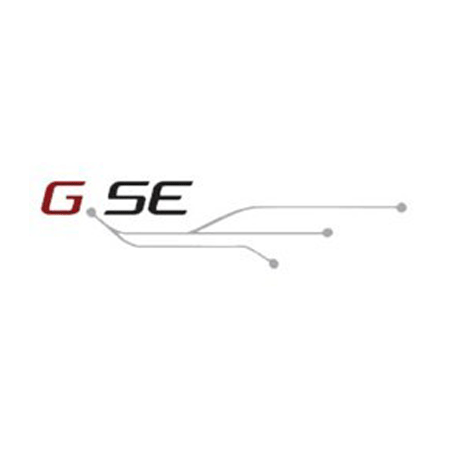 Logo GSE