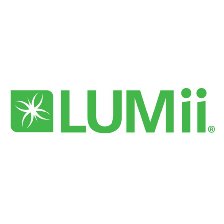 Logo LUMII