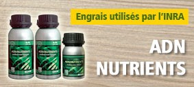 ADN NUTRIENTS