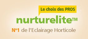 NURTURELITE
